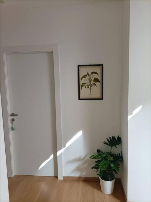 Loving My Rooms 1 - Deliziosa Mansarda In Centro Гориция Екстериор снимка